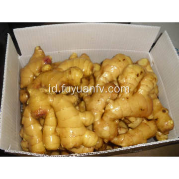 150g dan bawang putih segar